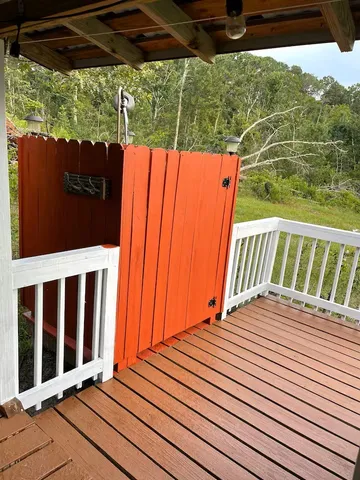 a view of a tree in the middle of a yard
