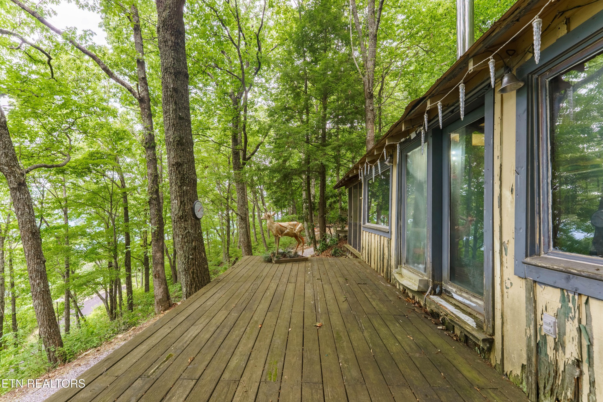 2939 Dupont Springs Road Sevierville, TN 37862 - Photo 12 of 20 a view of backyard with green space