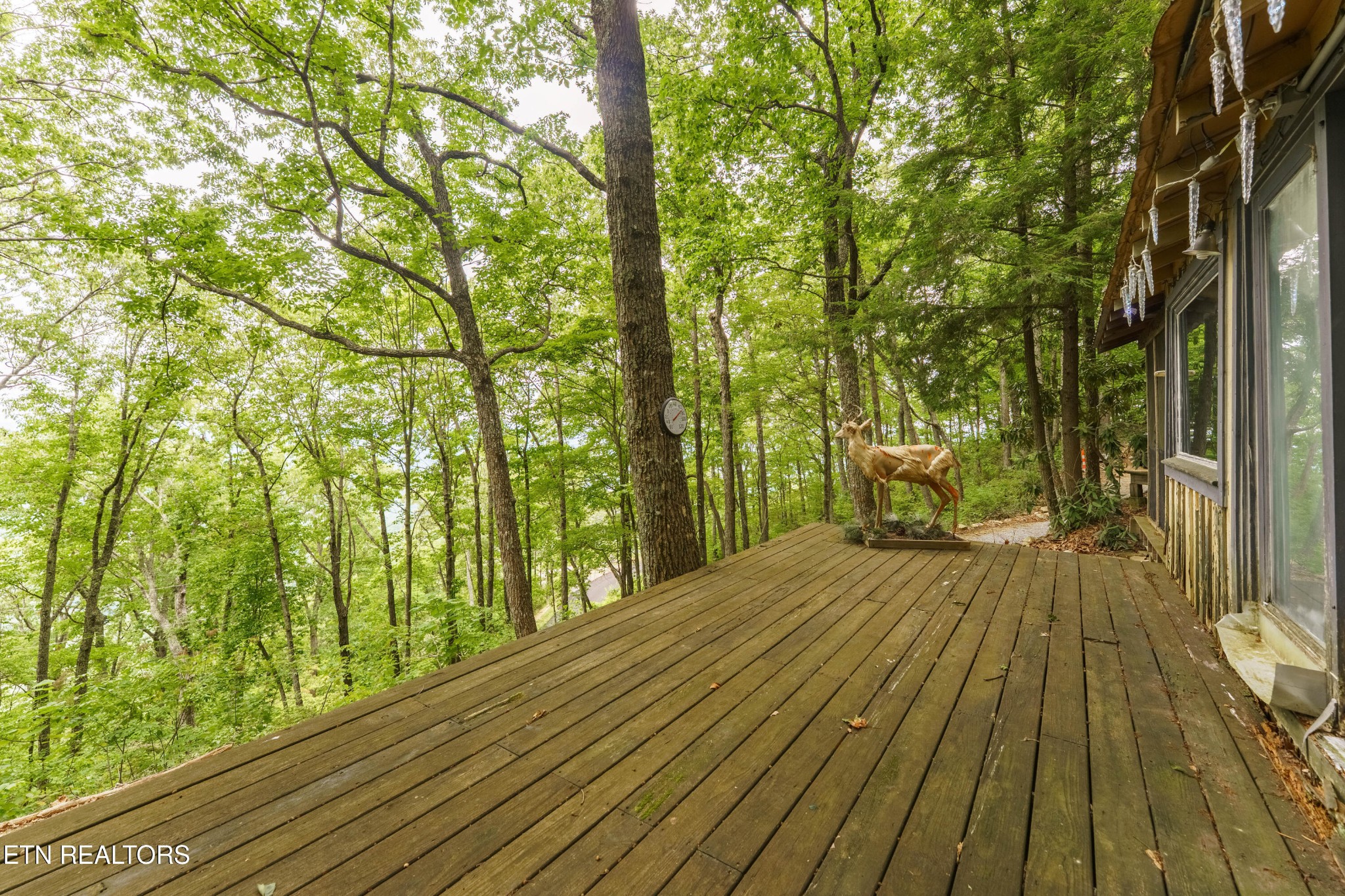 2939 Dupont Springs Road Sevierville, TN 37862 - Photo 9 of 20 a view of backyard with wooden floor and fence