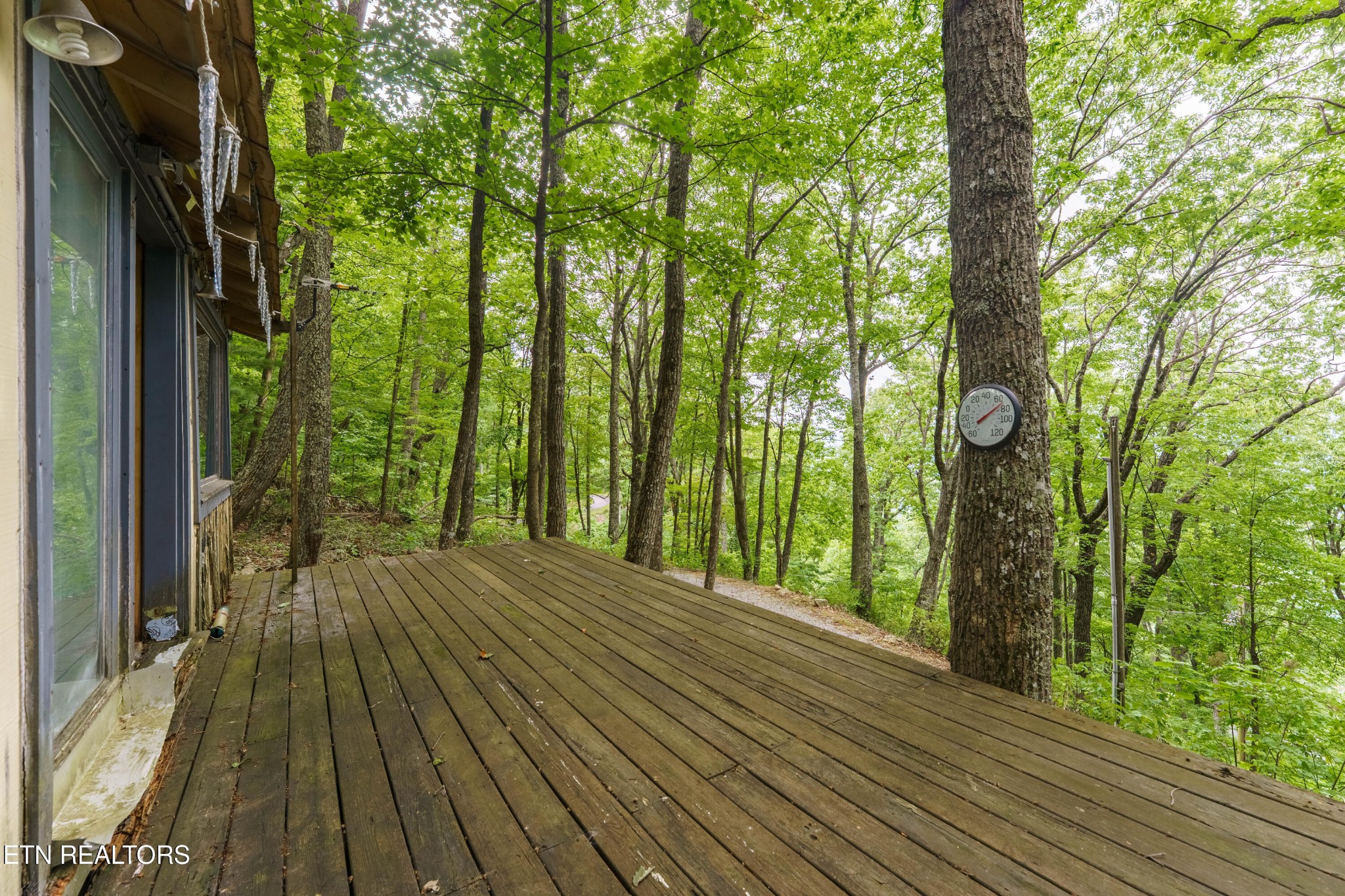 2939 Dupont Springs Road Sevierville, TN 37862 - Photo 10 of 20 a view of backyard with green space