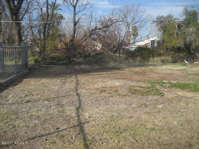2914 West Monte Vista Road Phoenix, AZ 85009 - Photo 8 of 8 Yard