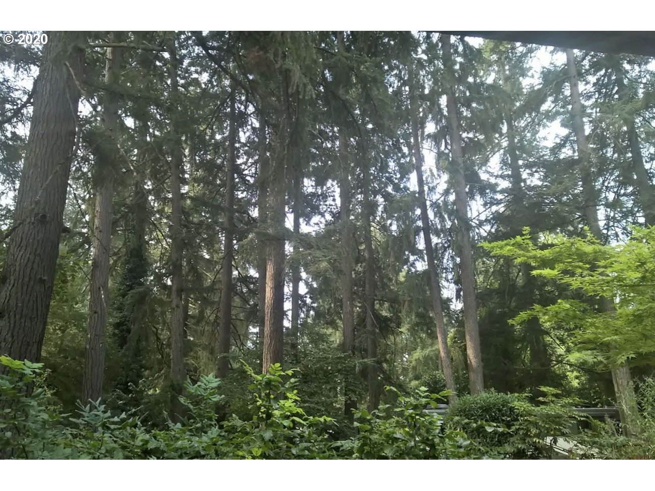 16570 Southwest Inverurie Road Lake Oswego, OR 97035 - Photo 11 of 14 Gallery Image 11