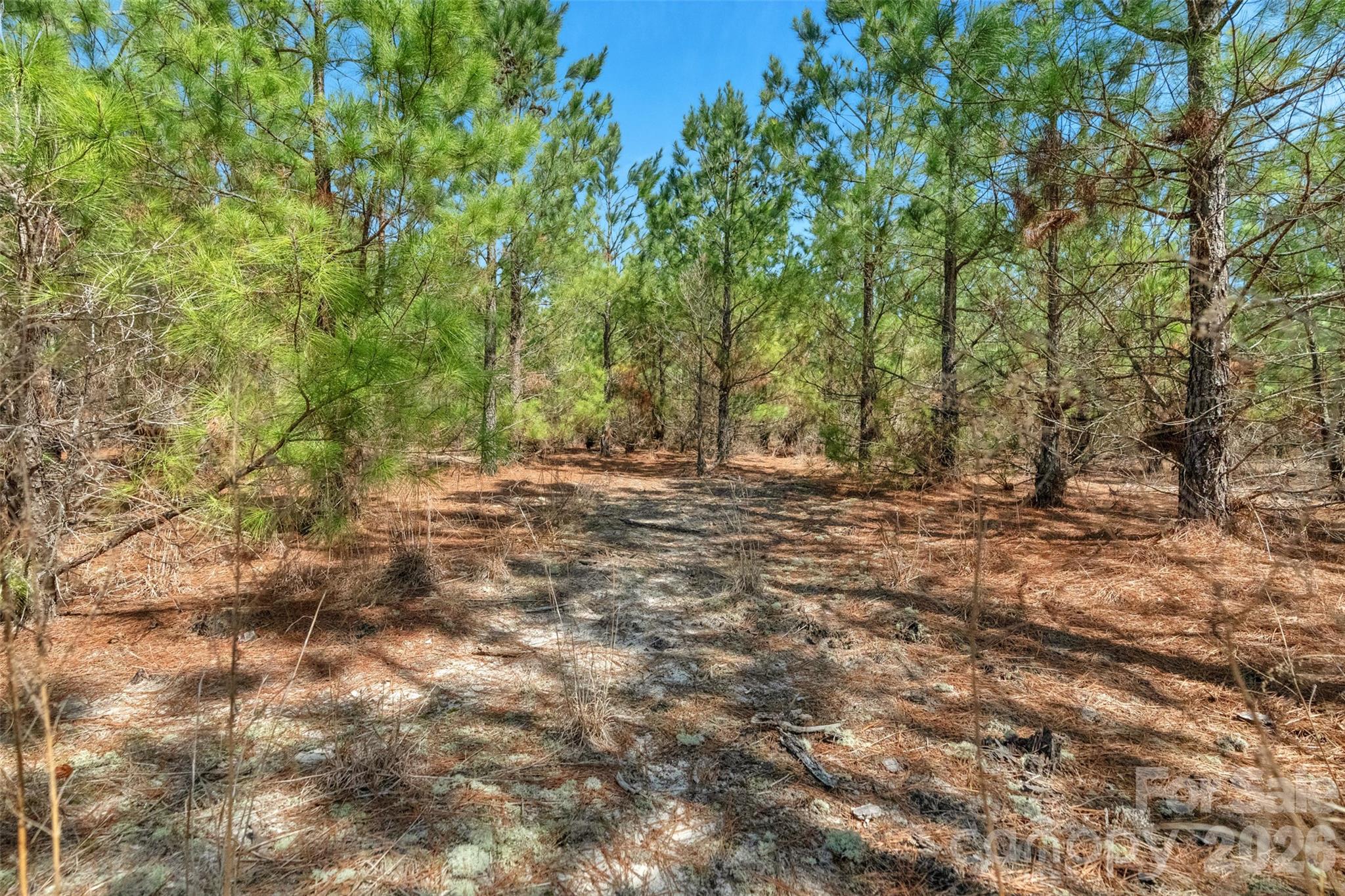 931 Charlie Johnson Road, Unit 2 Kershaw, SC 29067 - Photo 22 of 35