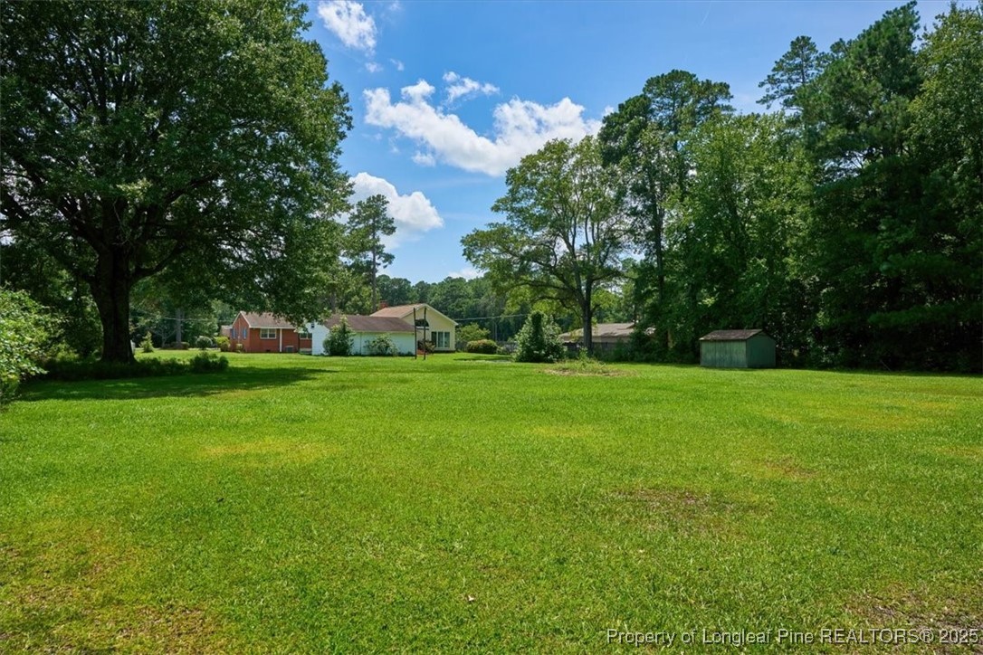 363 Bee Gee Road Lumberton, NC 28358 - Photo 5 of 45 a view of green field with trees in the background