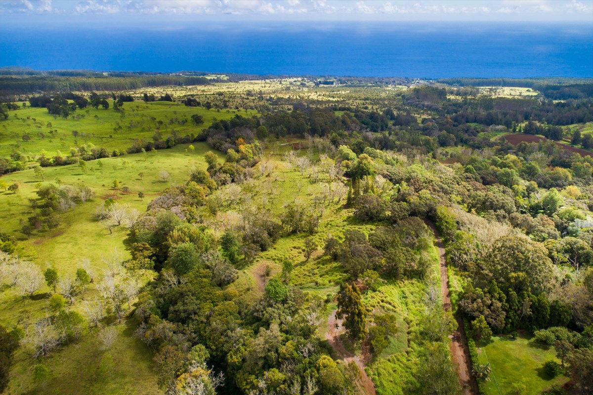 4 Old Stable Road Paauilo, HI 96776 - Photo 3 of 21 Gallery Image 3