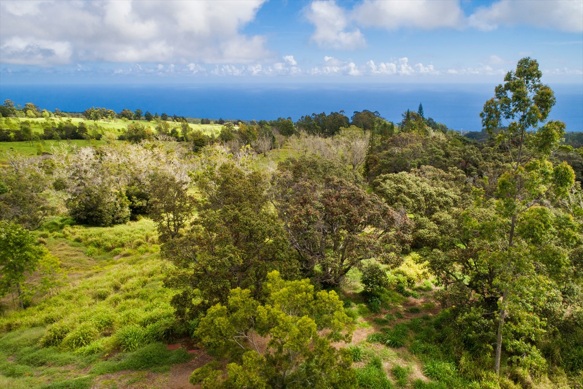 4 Old Stable Road Paauilo, HI 96776 - Photo 4 of 21 Gallery Image 4