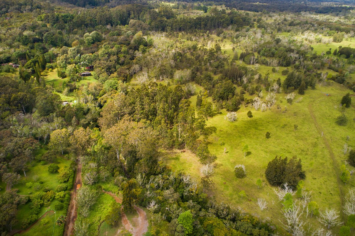 4 Old Stable Road Paauilo, HI 96776 - Photo 8 of 21 Gallery Image 8
