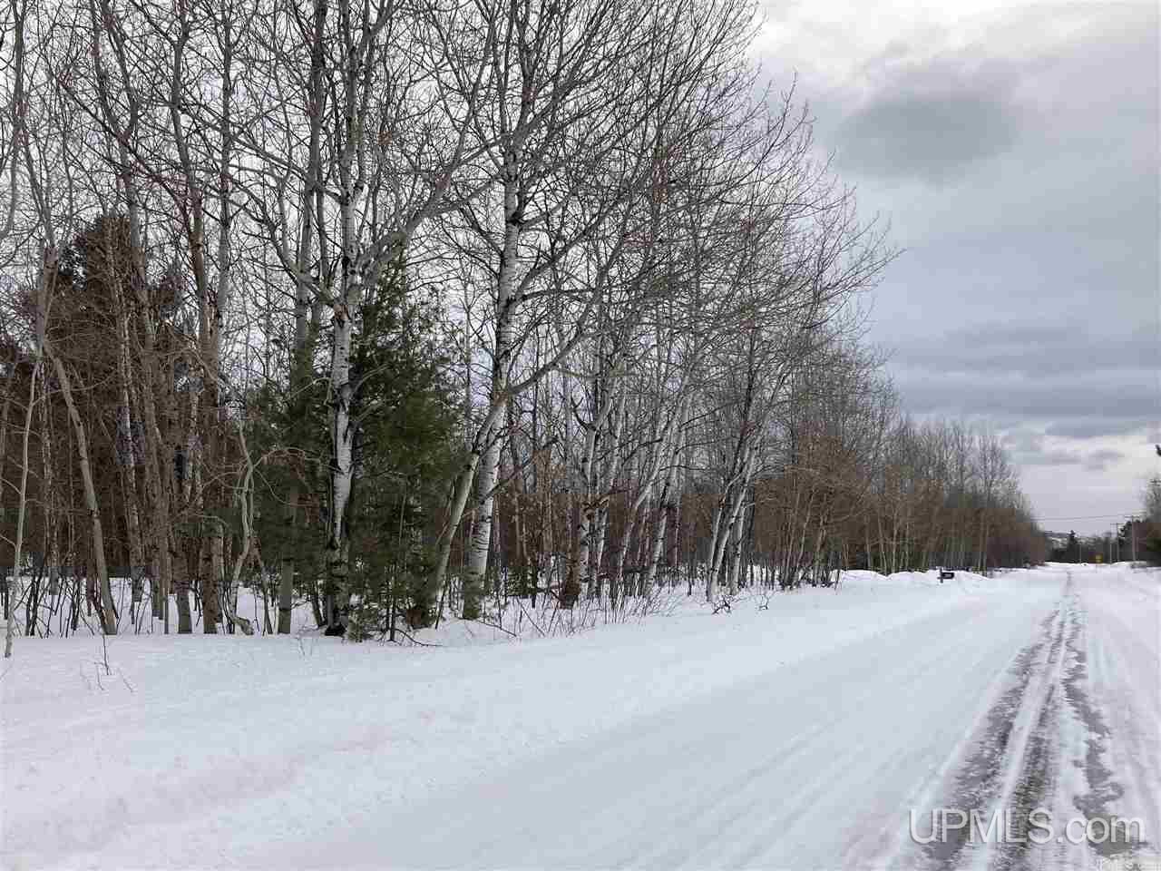 Tbd Morgan Meadows Road Marquette, MI 49855 - Photo 3 of 7 Gallery Image 3