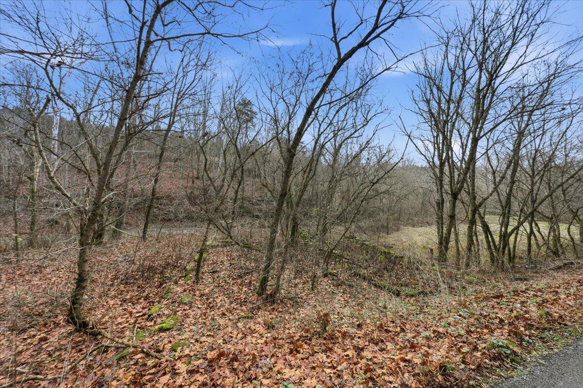 5275 Harmony Road Owenton, KY 40359 - Photo 10 of 19 Gallery Image 10