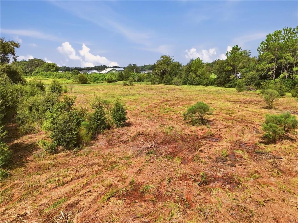 2929 Al Simmons Road Dover, FL 33527 - Photo 21 of 30 Gallery Image 21