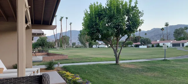 a view of a park that has a tree in it