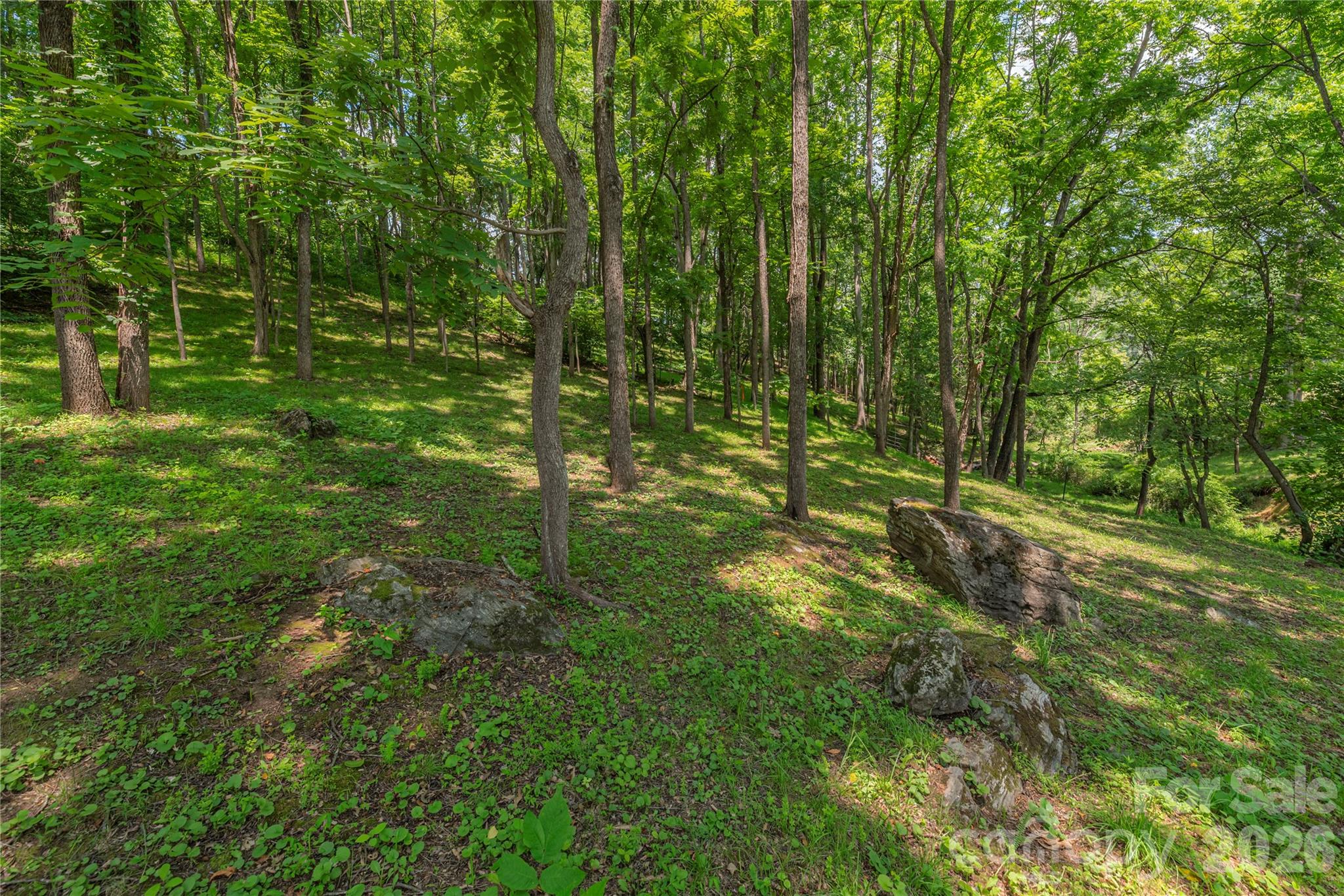 702 Love Joy Road Canton, NC 28716 - Photo 29 of 40