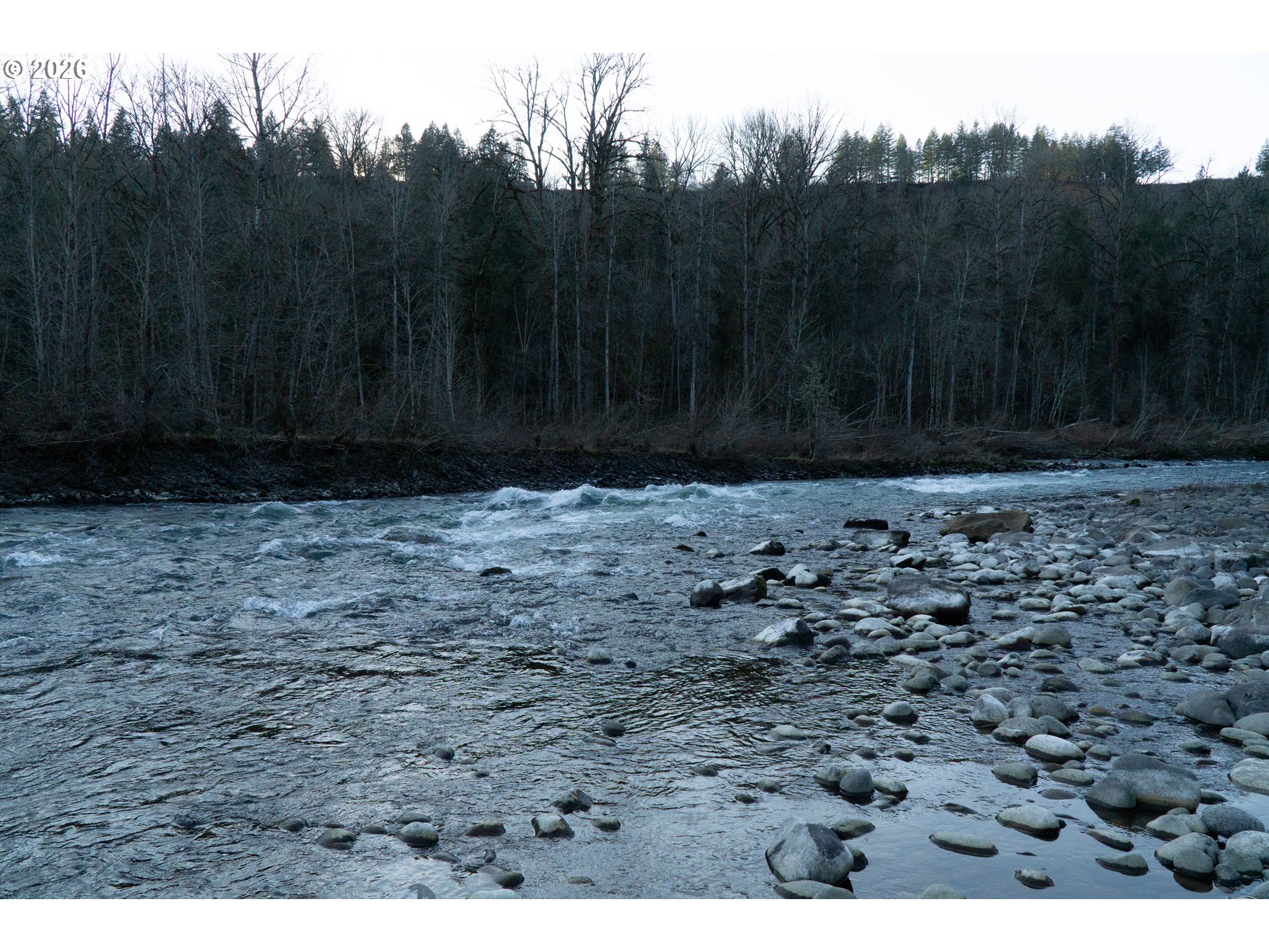 28821 Southeast Paradise Road Eagle Creek, OR 97022 - Photo 23 of 47 a view of a dry yard with trees in the background