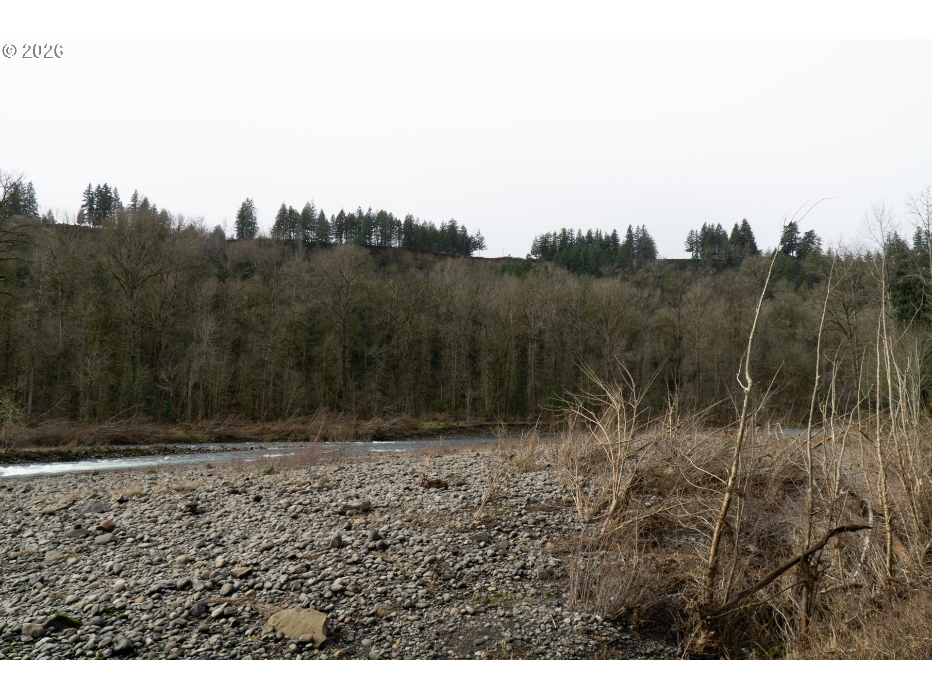 28821 Southeast Paradise Road Eagle Creek, OR 97022 - Photo 24 of 47 a view of a dry yard with trees