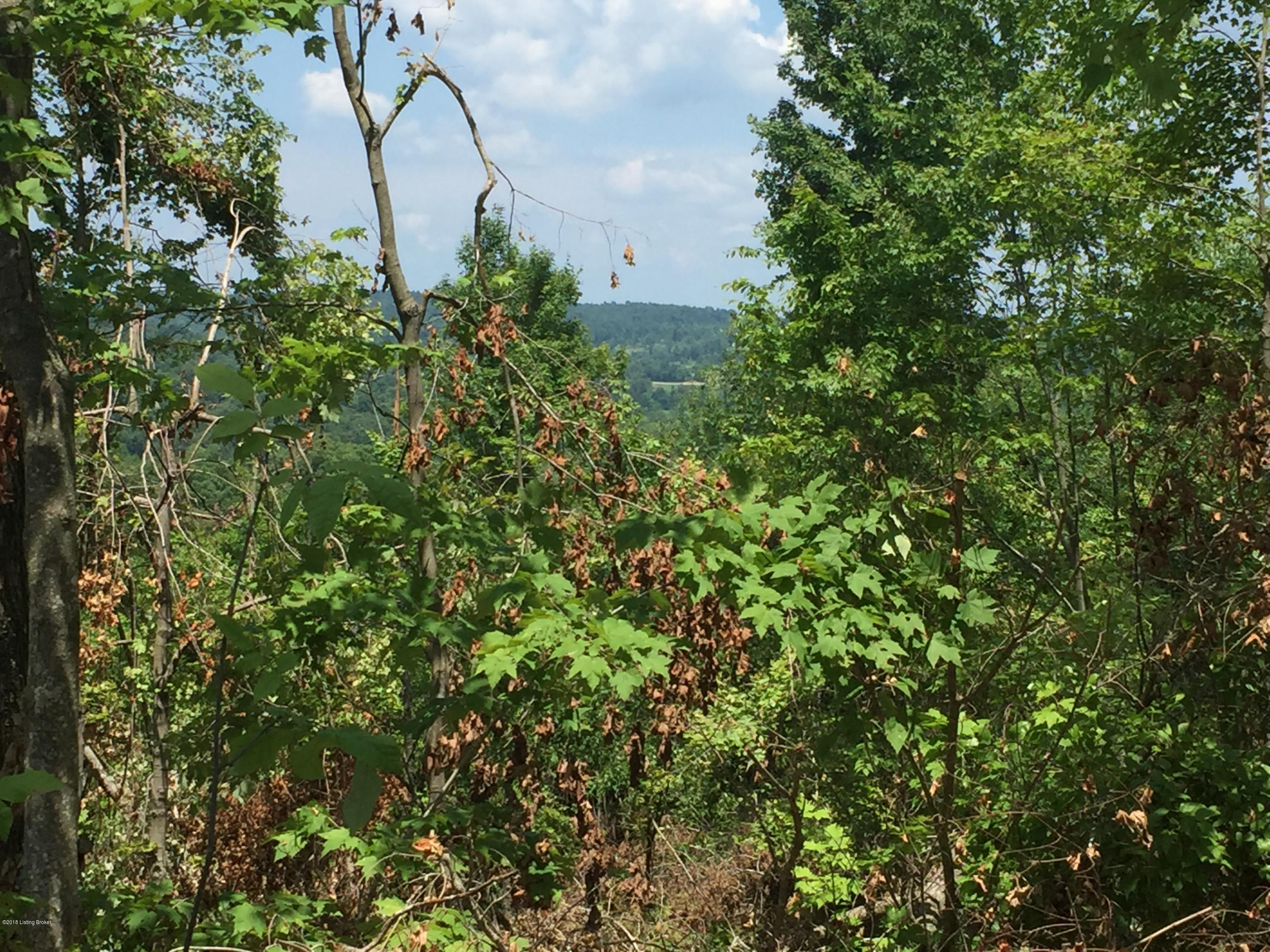0 Edwards Cemetery Road Falls Of Rough, KY 40119 - Photo 12 of 13 june 2018 098