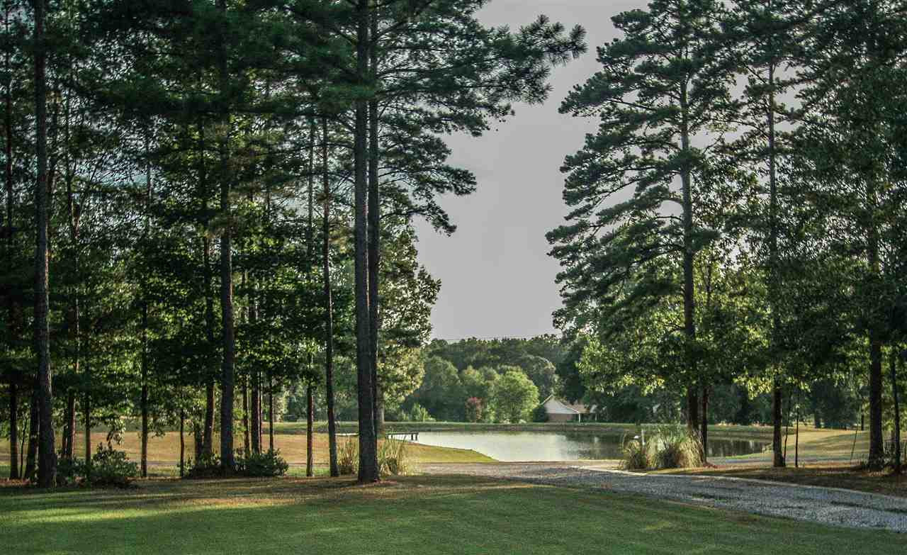 1500 Orchard Wood Road Terry, MS 39170 - Photo 5 of 50 Photo 5