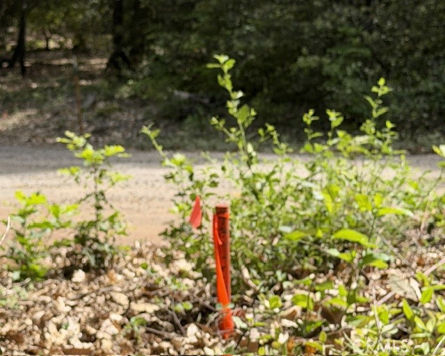 0 Platt Mountain Road Forest Ranch, CA 95942 - Photo 3 of 6 Northeast property corner pin.