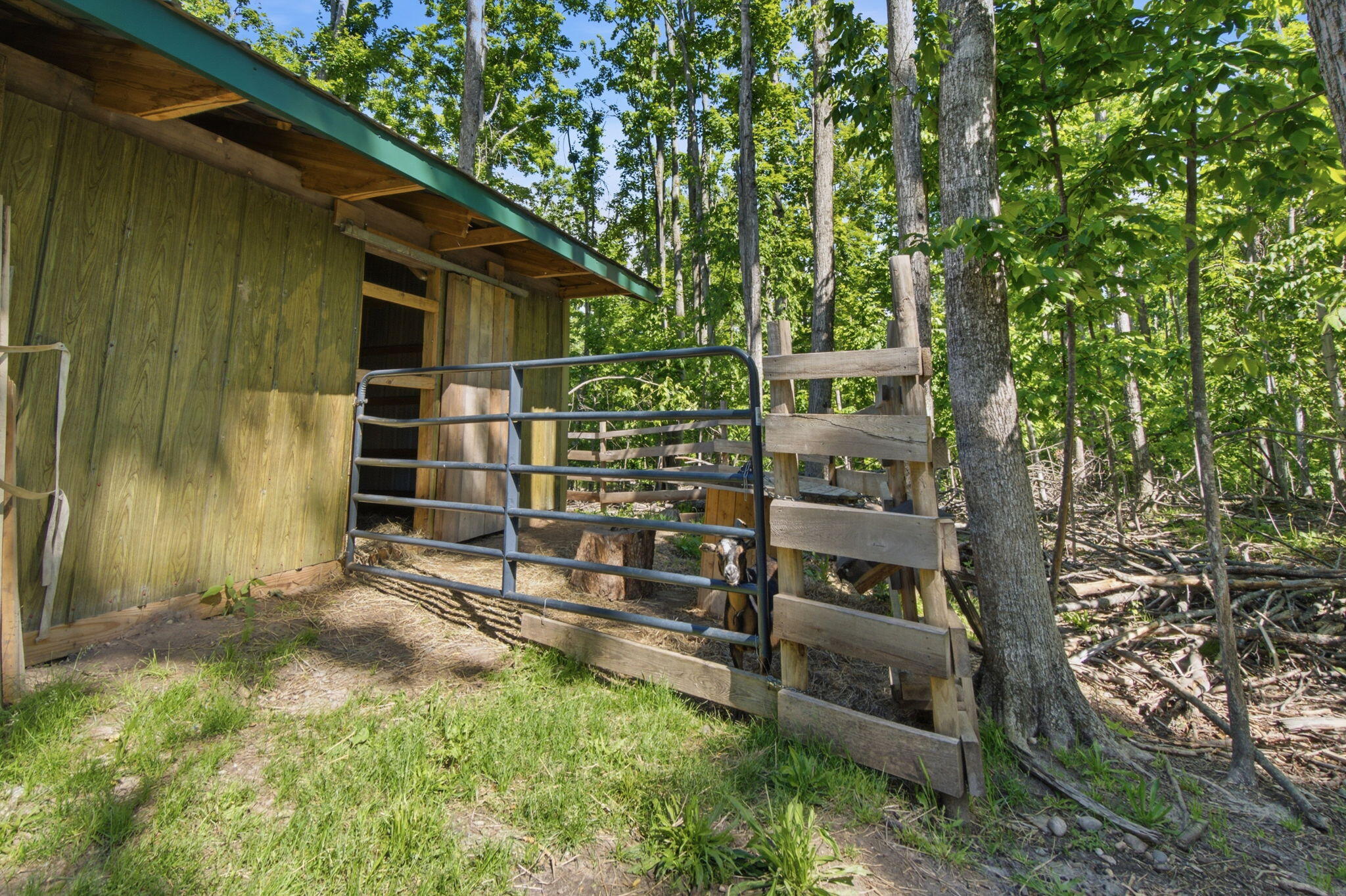 3091 Old State Road Johannesburg, MI 49751 - Photo 24 of 34 Gallery Image 24