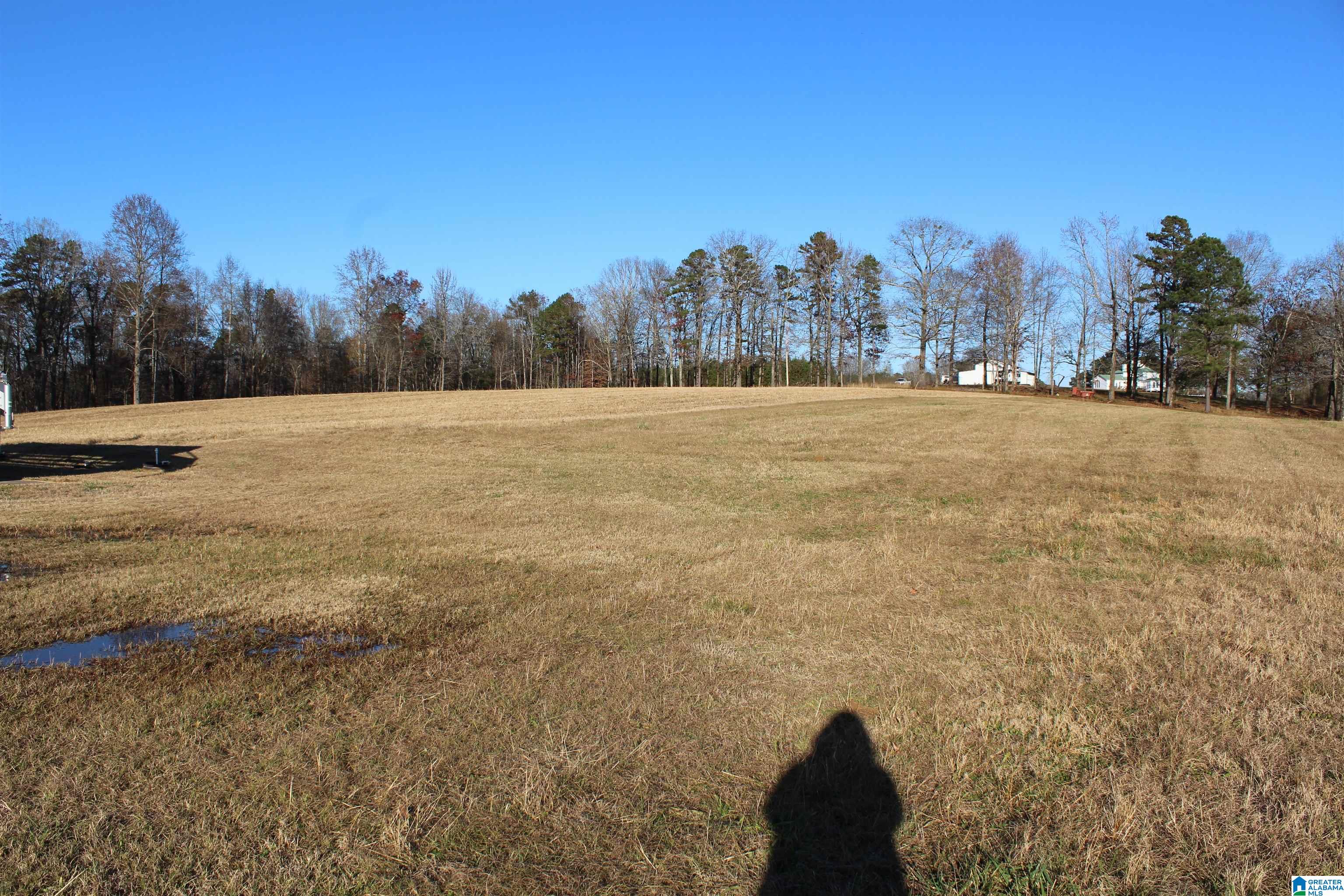 589 Morris Road Pell City, AL 35128 - Photo 21 of 29