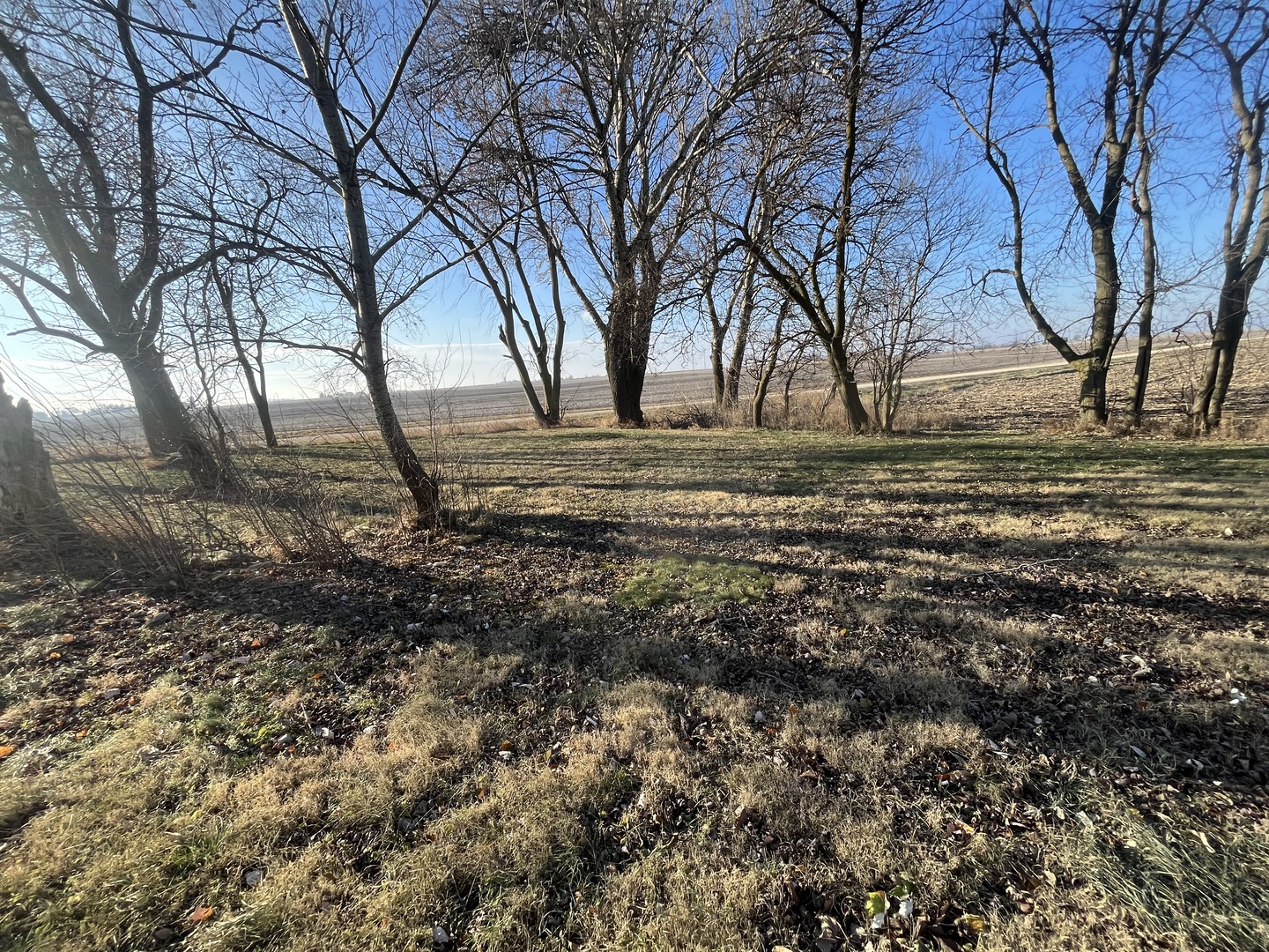 1855 Keslinger Road Malta, IL 60150 - Photo 16 of 22