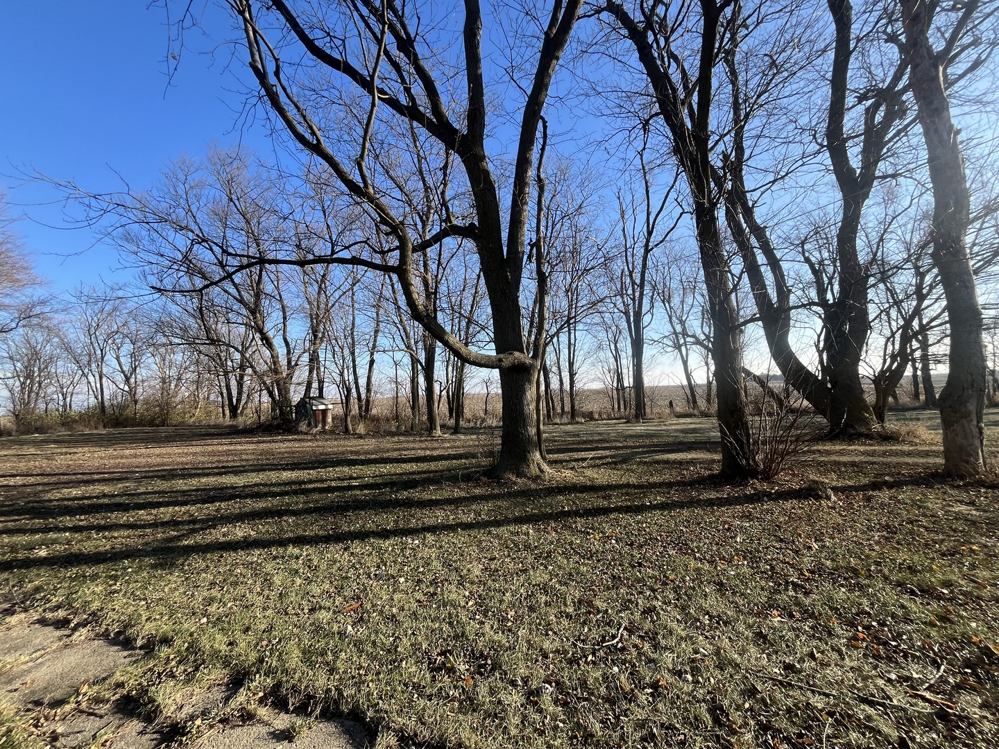 1855 Keslinger Road Malta, IL 60150 - Photo 17 of 22
