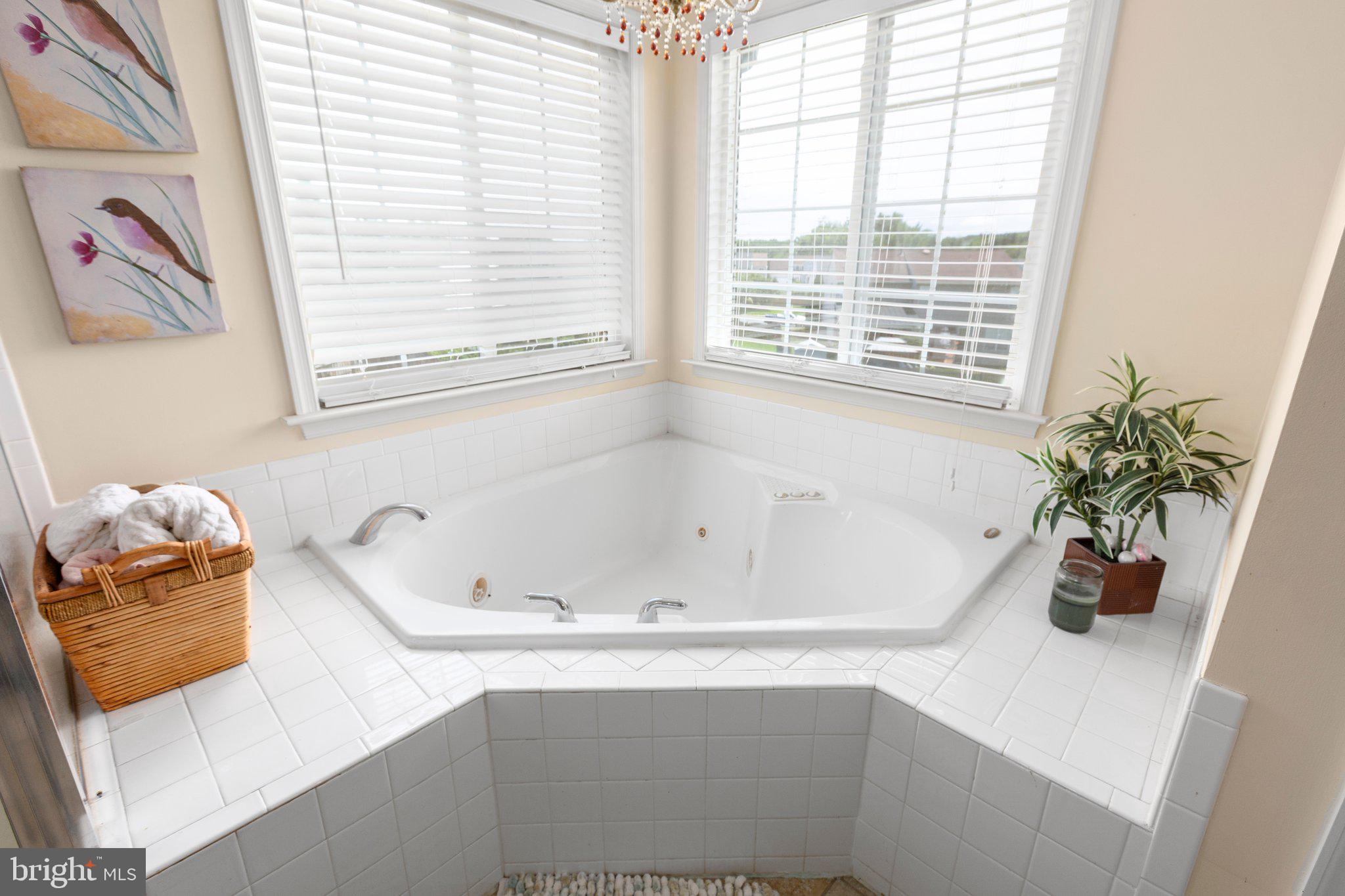 50 Hamstead Road Fredericksburg, VA 22405 - Photo 30 of 57 Tub has pendant lighting and natural lighting