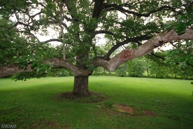 a view of a green yard