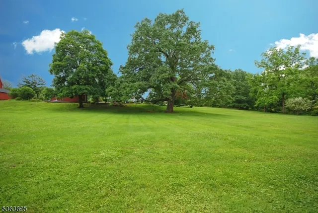 an outdoor space with lots of trees