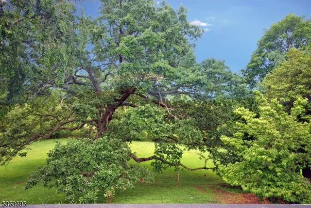 $795,000 | 1135 Highway 28, Somerville, NJ 08876