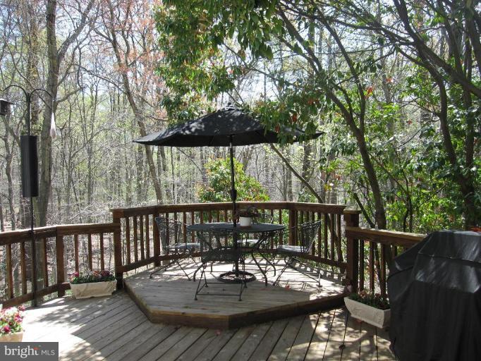 7727 Modisto Lane Springfield, VA 22153 - Photo 12 of 20 Back yard