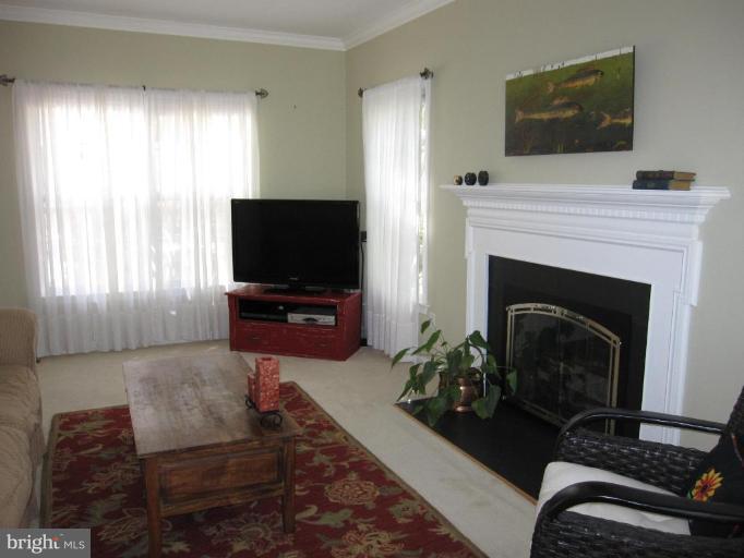 7727 Modisto Lane Springfield, VA 22153 - Photo 16 of 20 Living Room #3