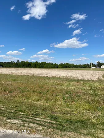 $32,000 | 107 Amber Court, Whitakers, NC 27891