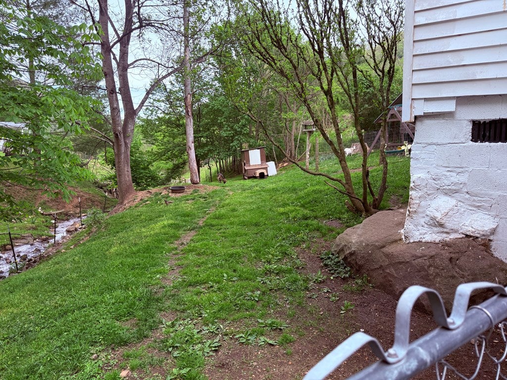 5753 Pounding Mill Branch Road Pounding Mill, VA 24637 - Photo 26 of 29 Gallery Image 26