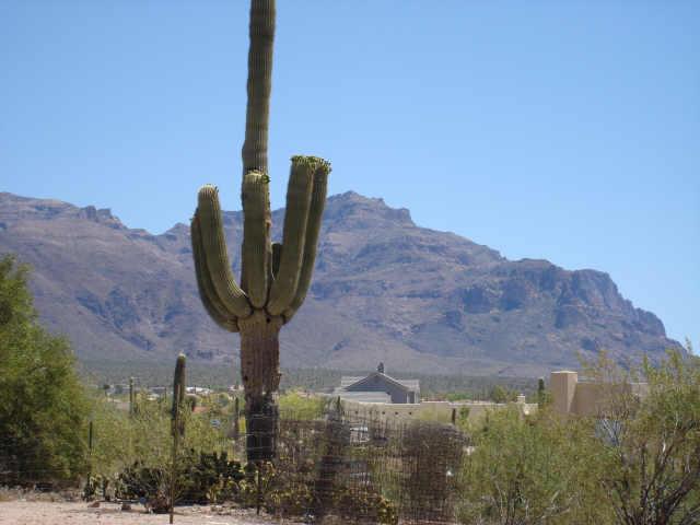 1675 South Mountain View Road, Unit 7C Apache Junction, AZ 85119 - Photo 3 of 5 Additional Photo