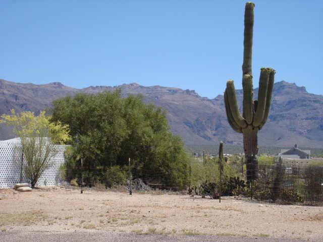 1675 South Mountain View Road, Unit 7C Apache Junction, AZ 85119 - Photo 4 of 5 Additional Photo