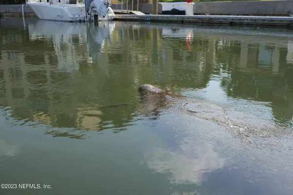 a view of a lake view