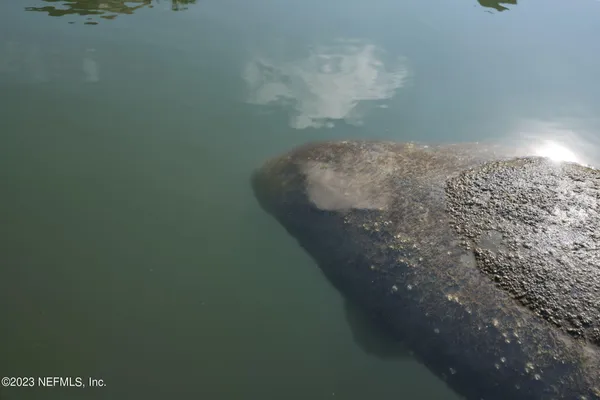 a view of a fireplace in a room