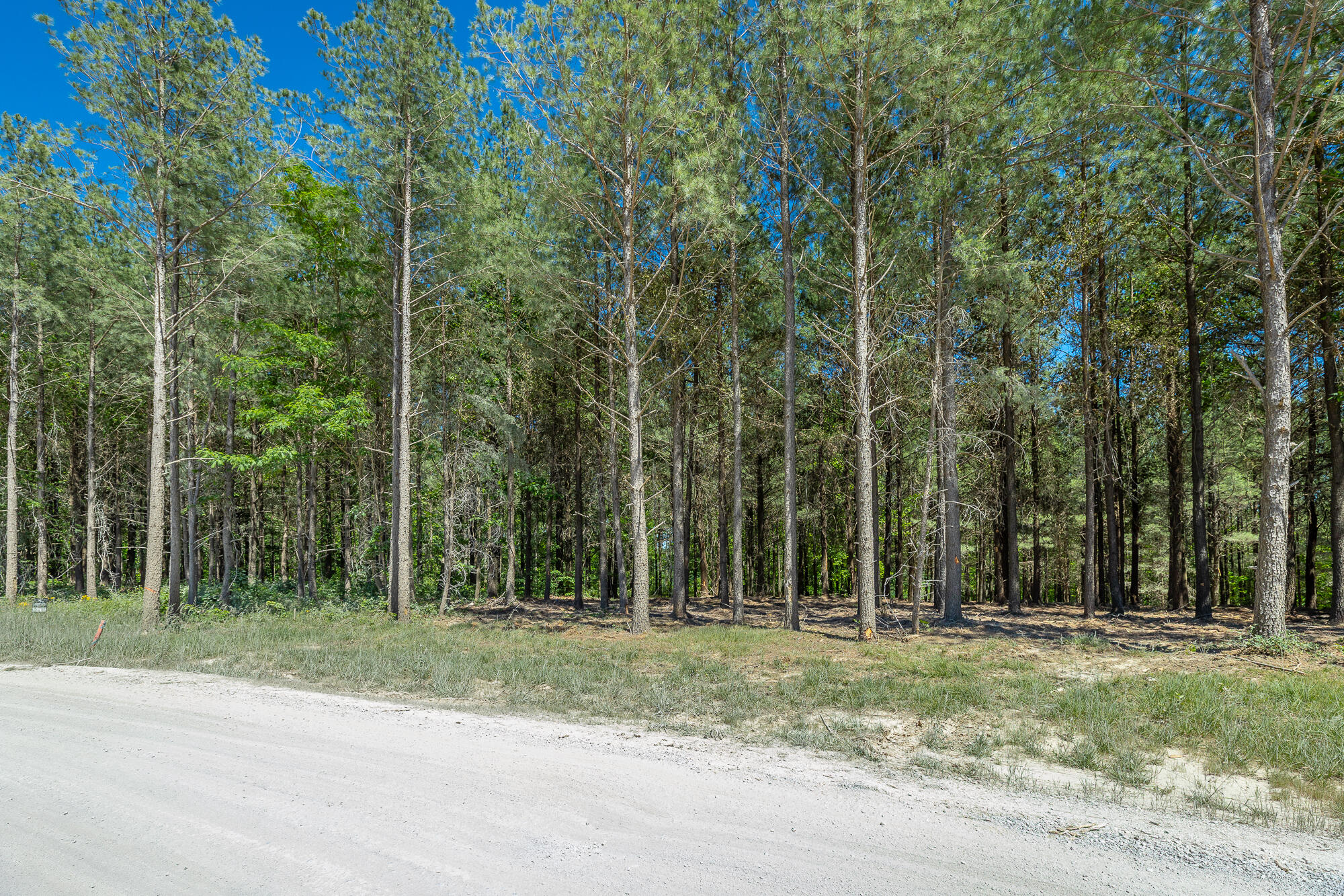 0 Split Rail Way, Unit 1349 Guild, TN 37340 - Photo 21 of 108 0 Split Rail Way - Lot 1349 HD-50