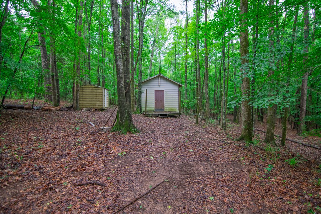 8639 Lower Blue Springs Road Fortson, GA 31808 - Photo 45 of 47 Gallery Image 45