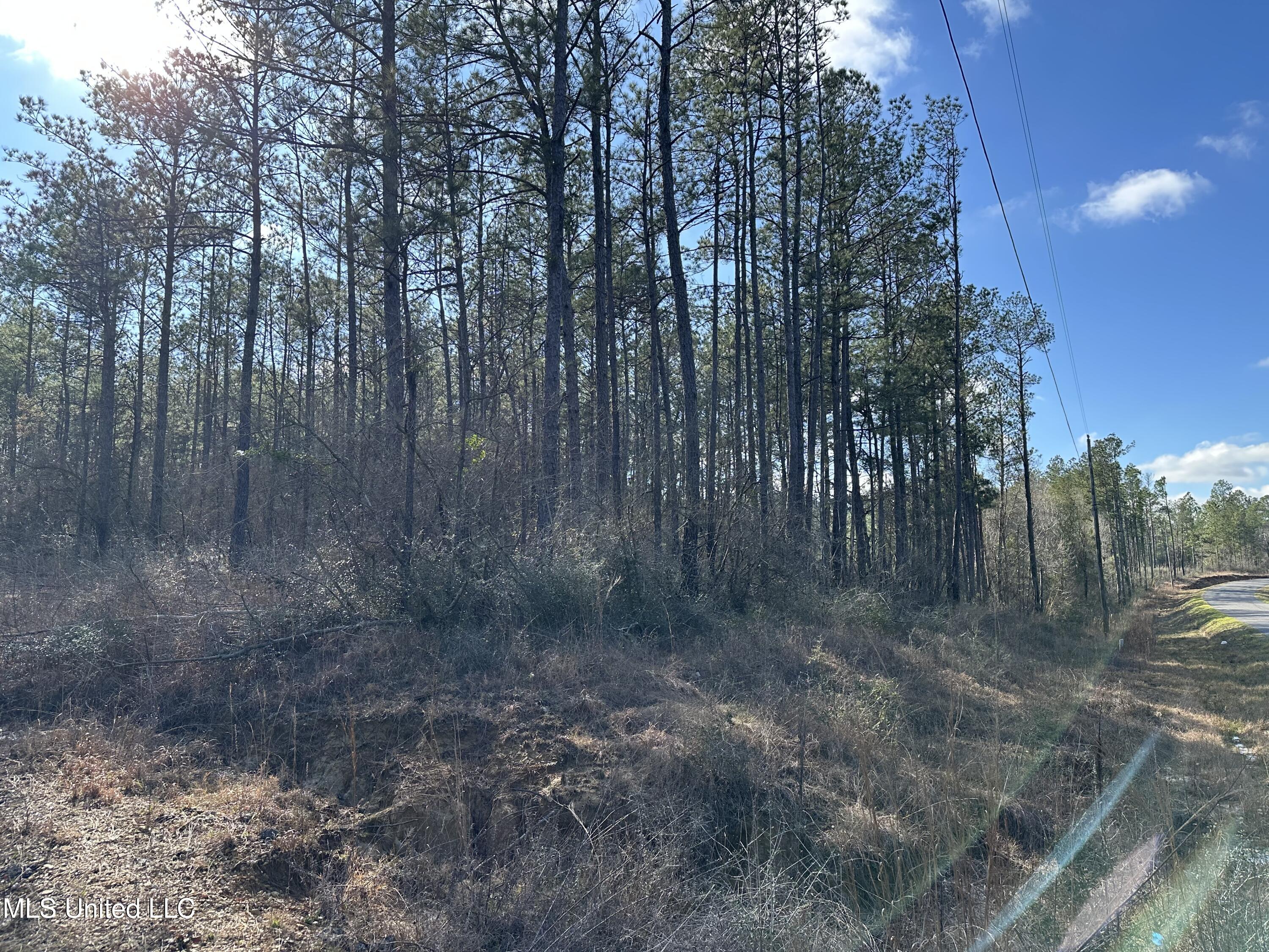 0 Emile Davis Road Poplarville, MS 39470 - Photo 2 of 11 road view