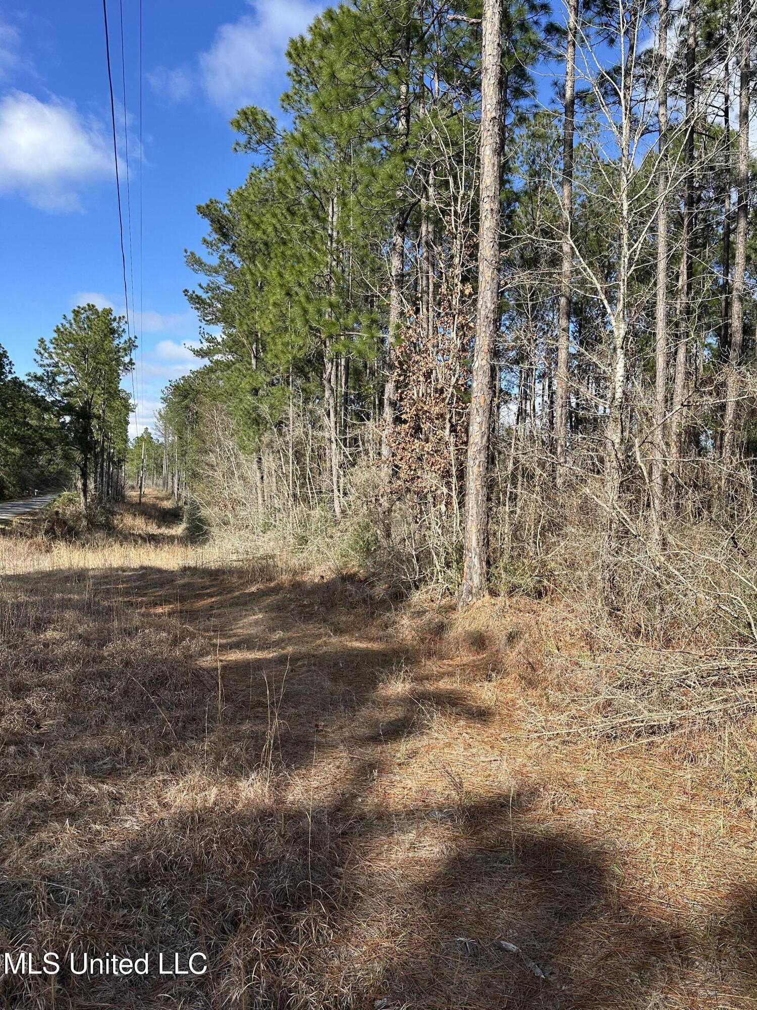 0 Emile Davis Road Poplarville, MS 39470 - Photo 5 of 11 IMG_1147