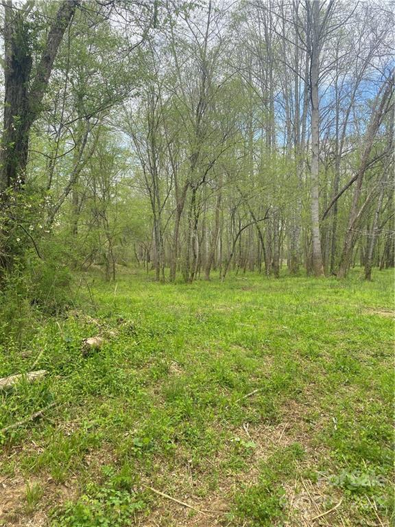 8765 Jacob Fork River Road Vale, NC 28168 - Photo 18 of 48 Gallery Image 18
