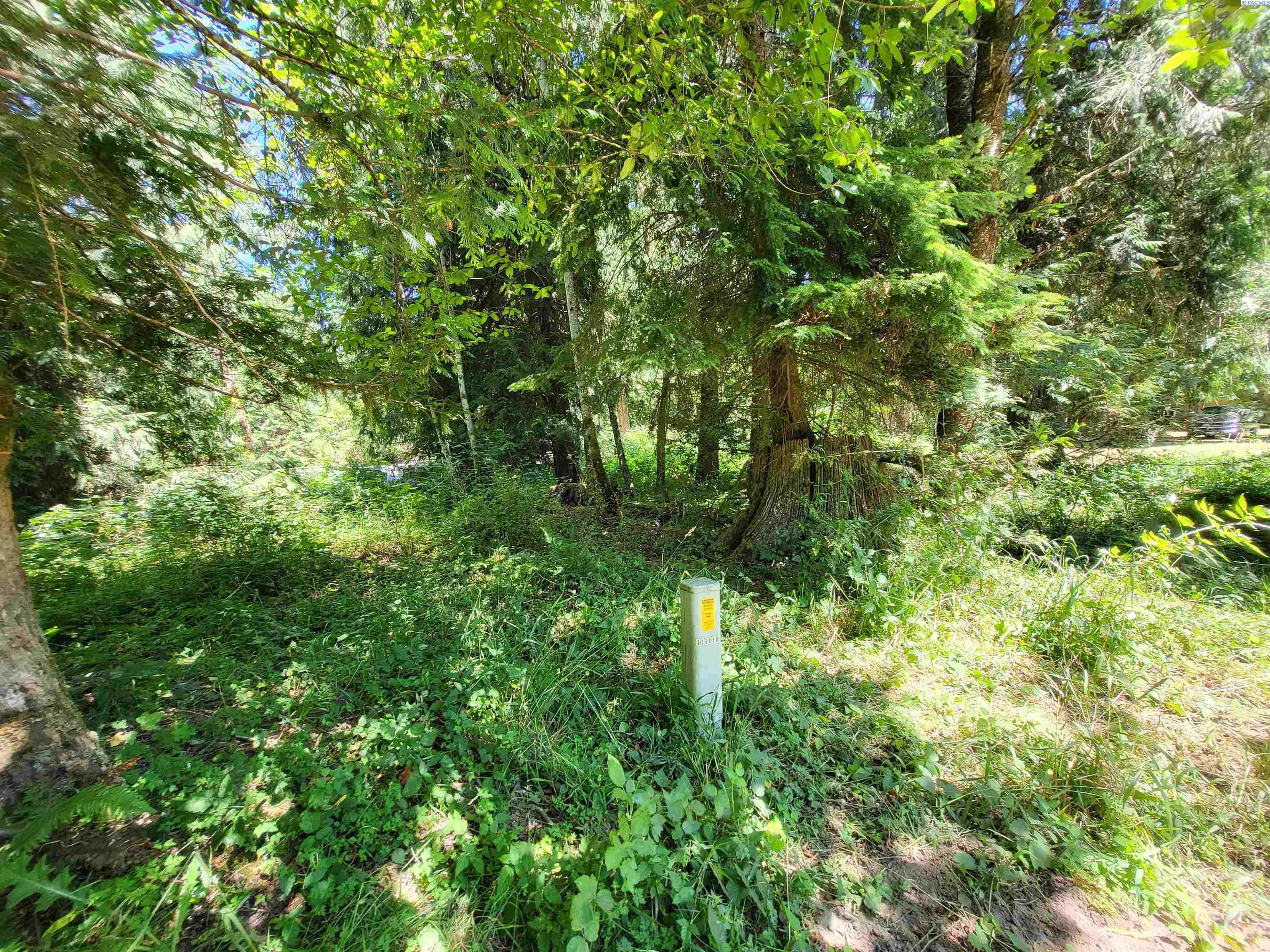 110 Cedar Grove Road Randle, WA 98377 - Photo 37 of 44 Gallery Image 37