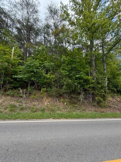 0 Grassy Hill Road Boones Mill, VA 24065 - Photo 1 of 5 a view of a garden