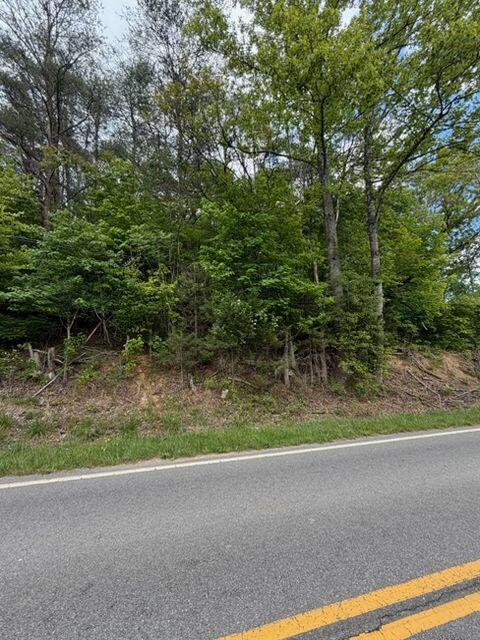 0 Grassy Hill Road Boones Mill, VA 24065 - Photo 5 of 5 a backyard of a house with plants and large trees