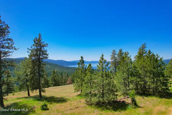 $699,000 | 1 South A S Skyview Road, Harrison, ID 83833