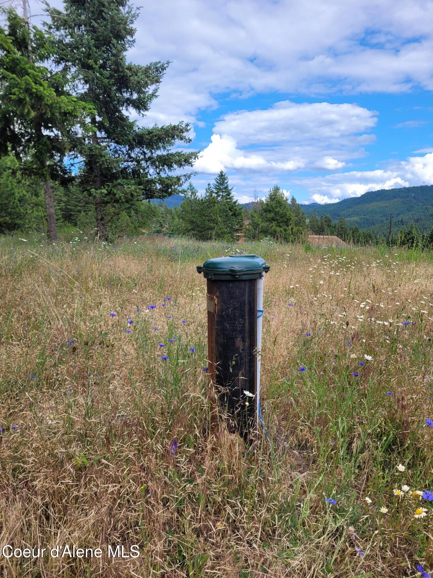 1 South A S Skyview Road Harrison, ID 83833 - Photo 19 of 26 Well Head