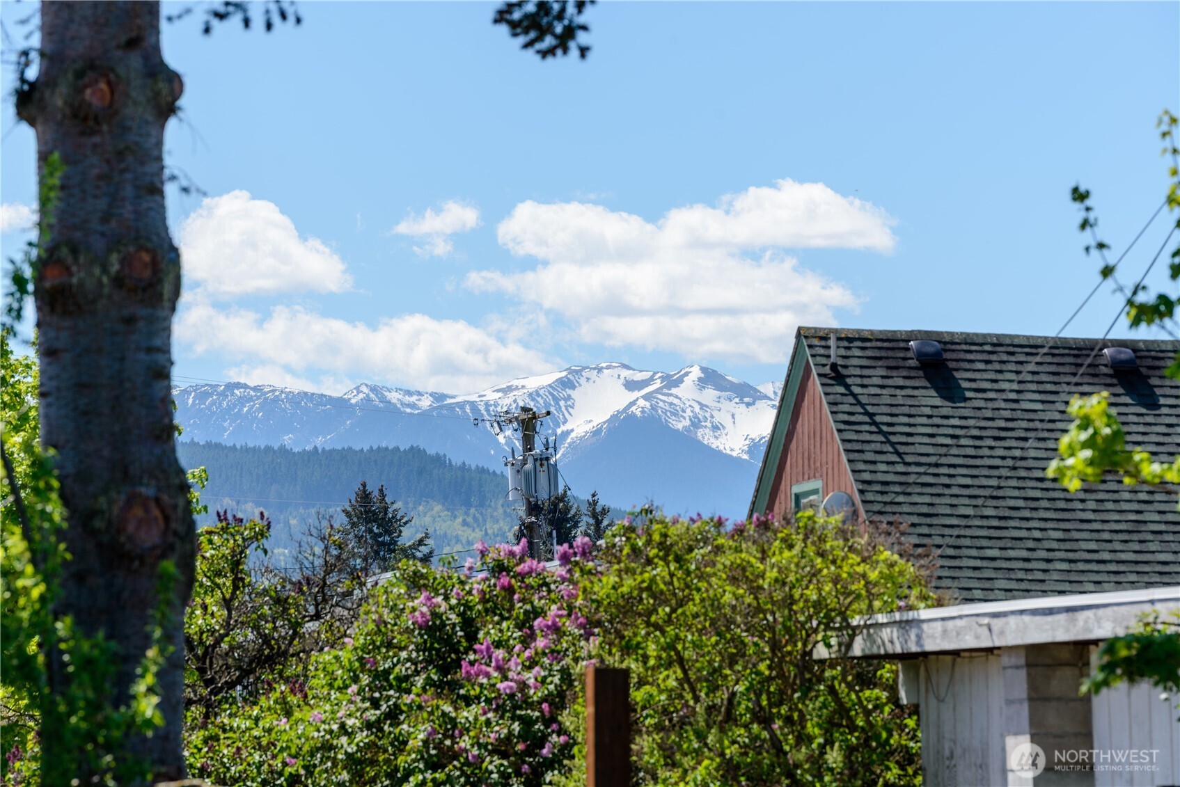 405 West Spruce Street Sequim, WA 98382 - Photo 40 of 40