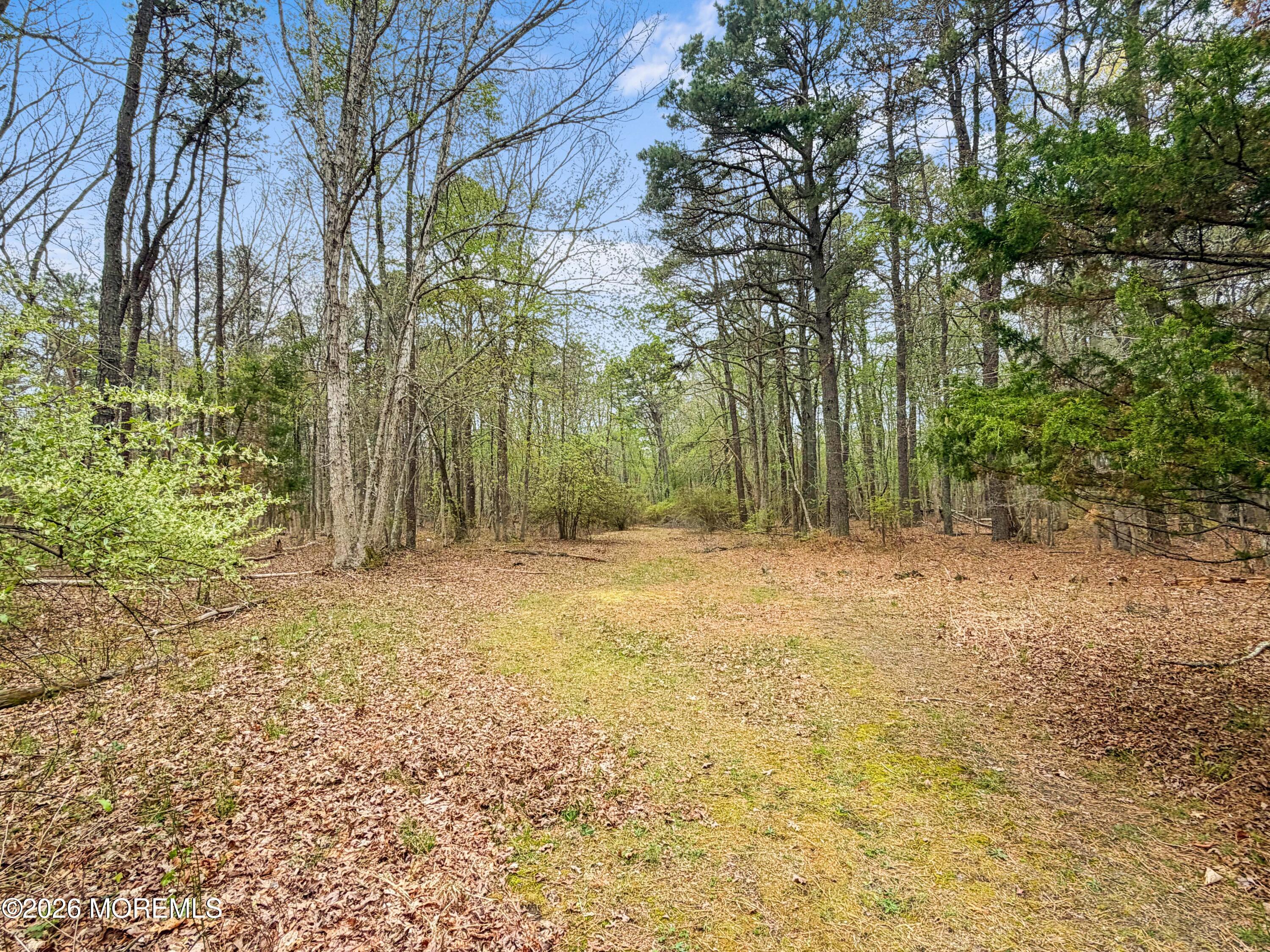 260 Perrineville Road Jackson, NJ 08527 - Photo 13 of 29 Wooded Acres