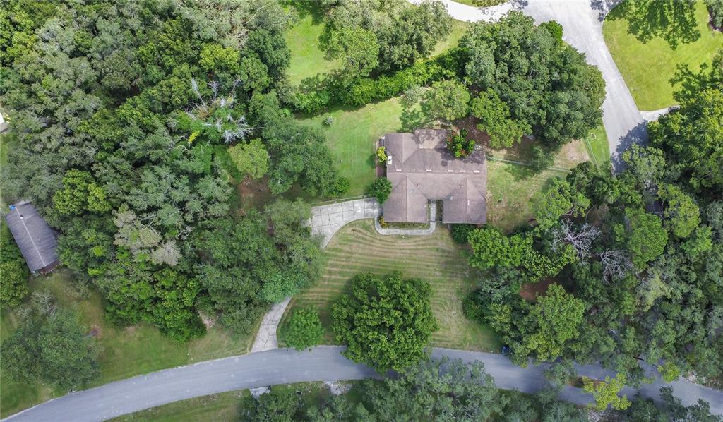 3629 Lake Buynak Road Windermere, FL 34786 - Photo 27 of 46